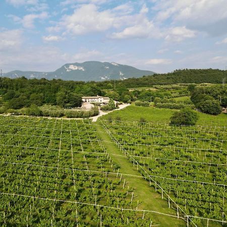 Serene Holiday And Wine Farm アッフィ エクステリア 写真