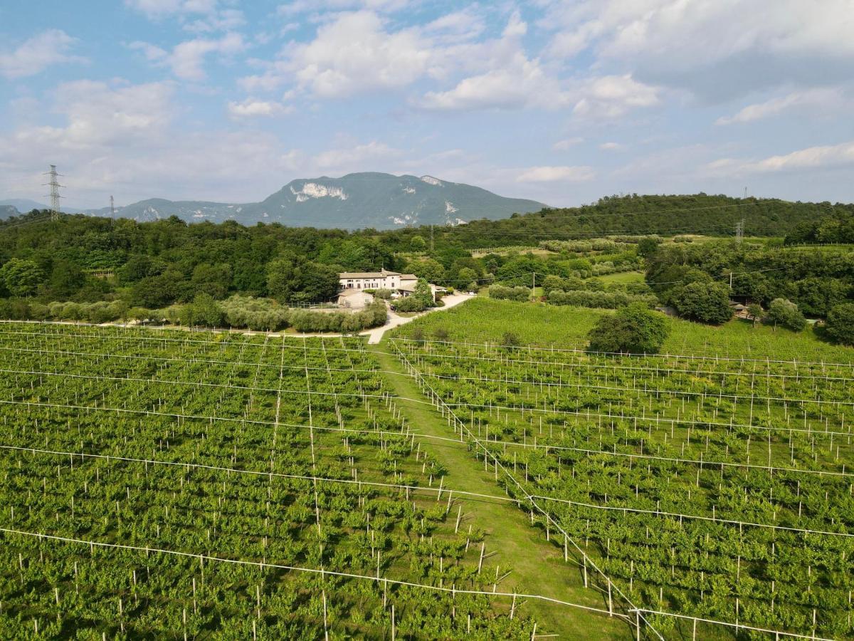 Serene Holiday And Wine Farm アッフィ エクステリア 写真
