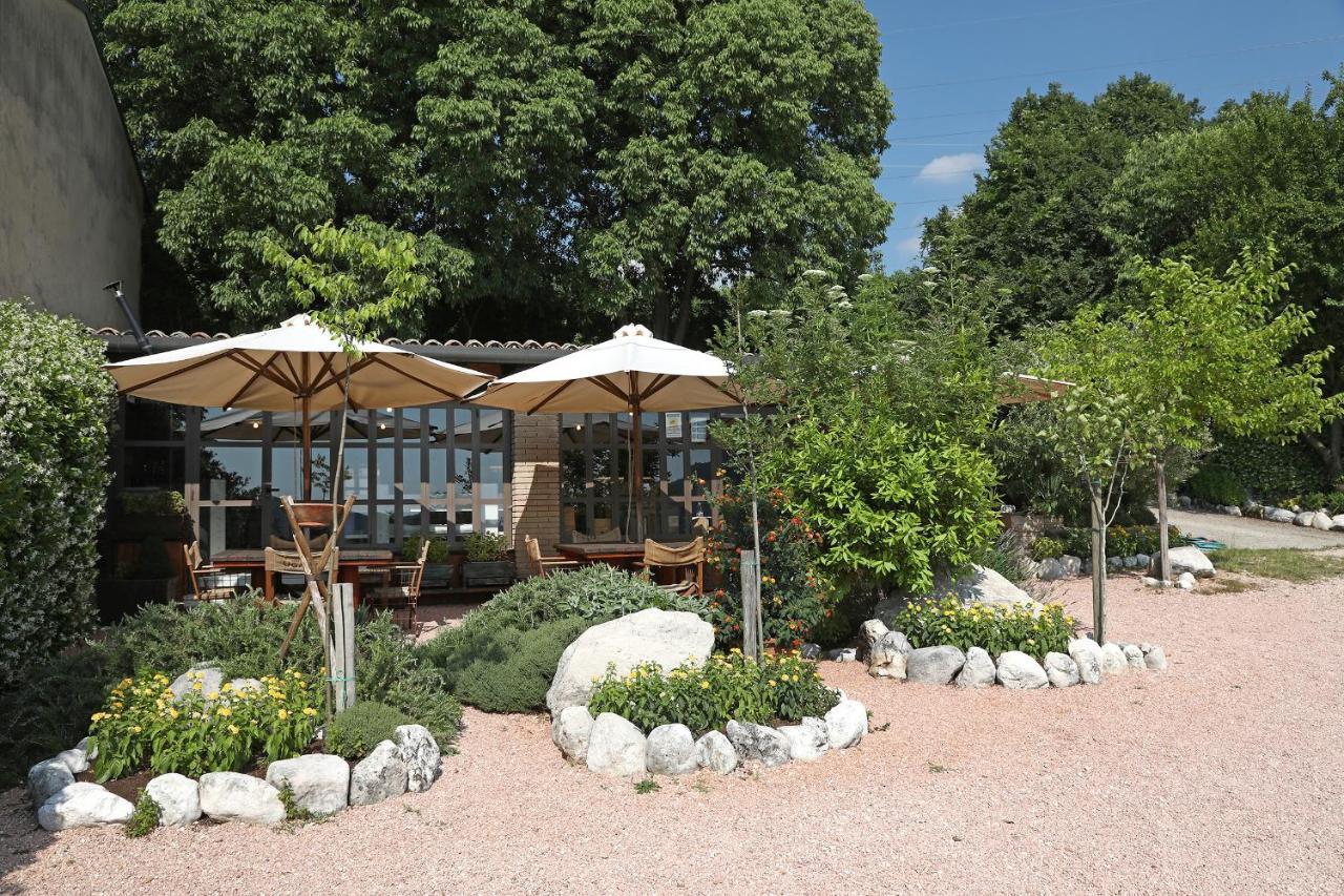 Serene Holiday And Wine Farm アッフィ エクステリア 写真