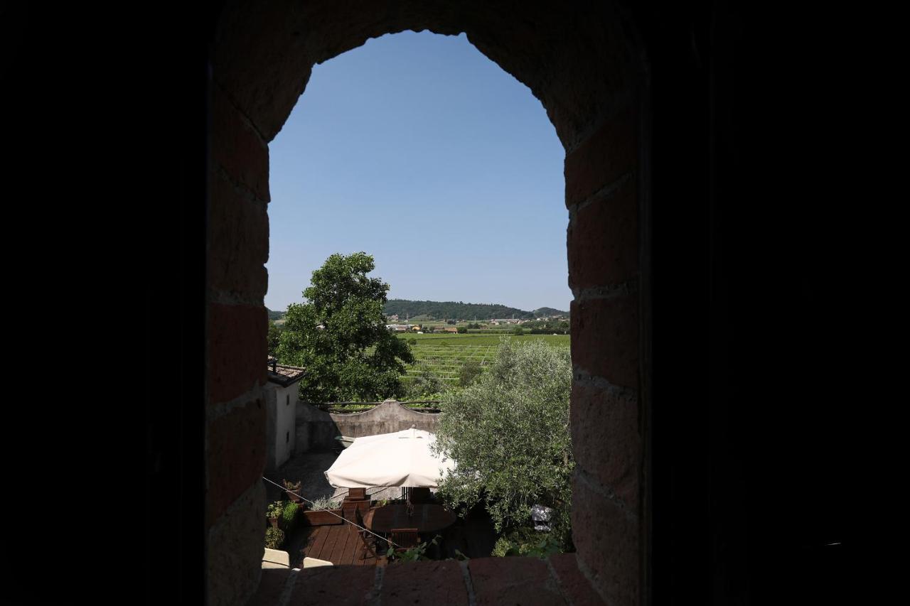Serene Holiday And Wine Farm アッフィ エクステリア 写真