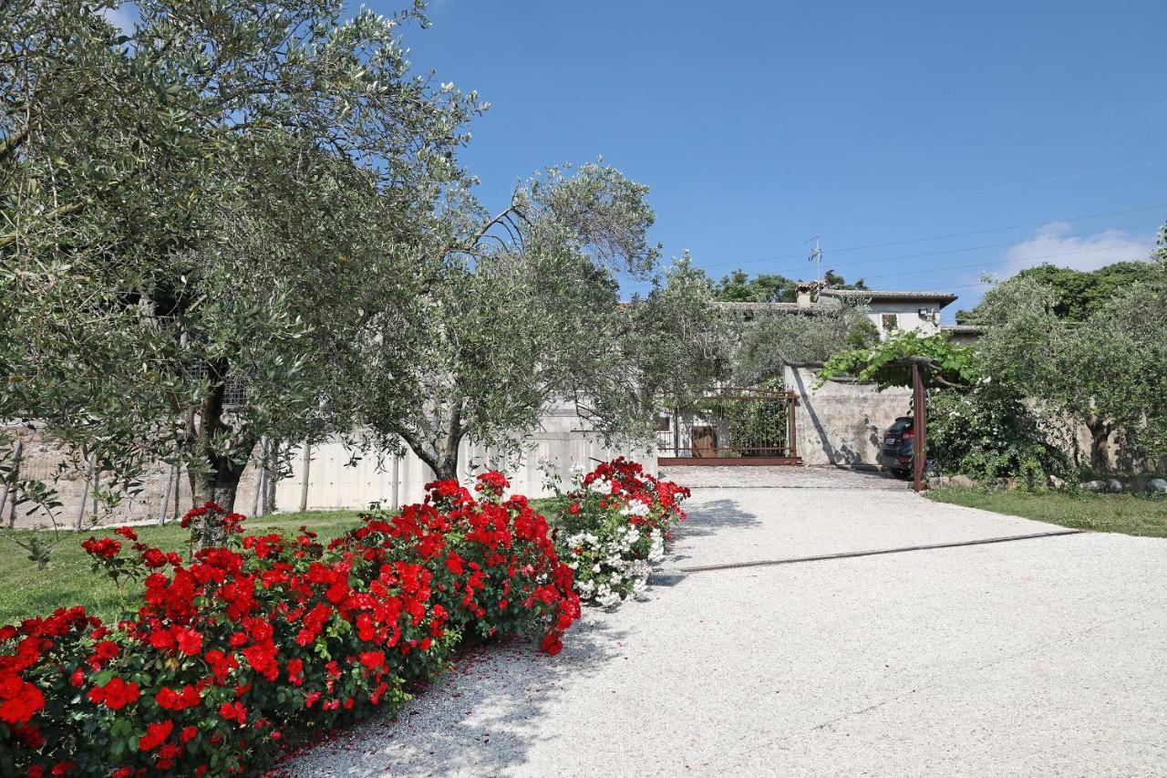 Serene Holiday And Wine Farm アッフィ エクステリア 写真