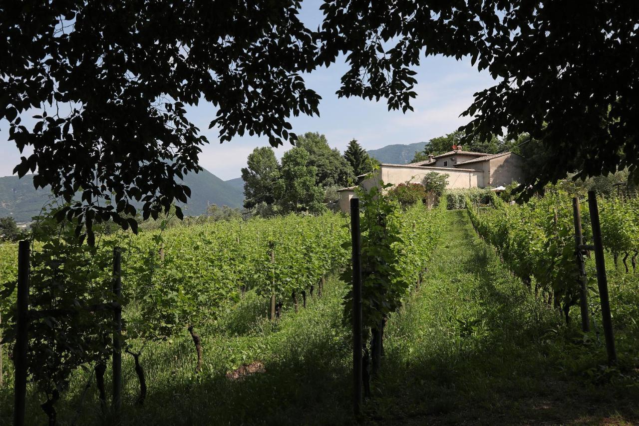 Serene Holiday And Wine Farm アッフィ エクステリア 写真