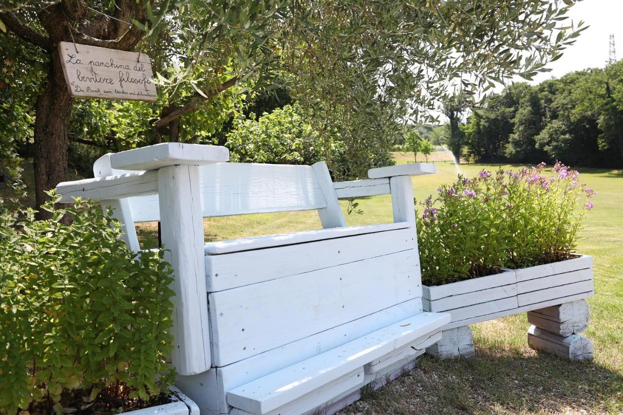 Serene Holiday And Wine Farm アッフィ エクステリア 写真