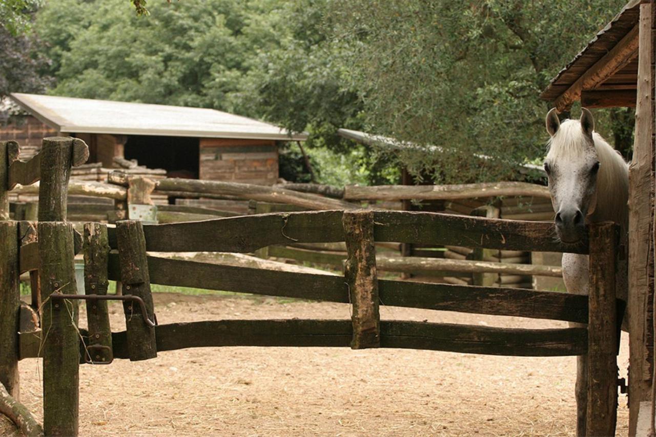 Serene Holiday And Wine Farm アッフィ エクステリア 写真