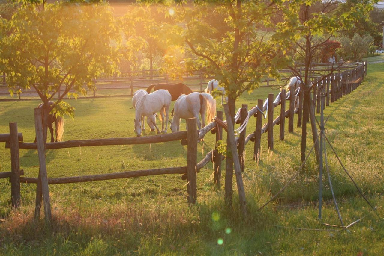 Serene Holiday And Wine Farm アッフィ エクステリア 写真