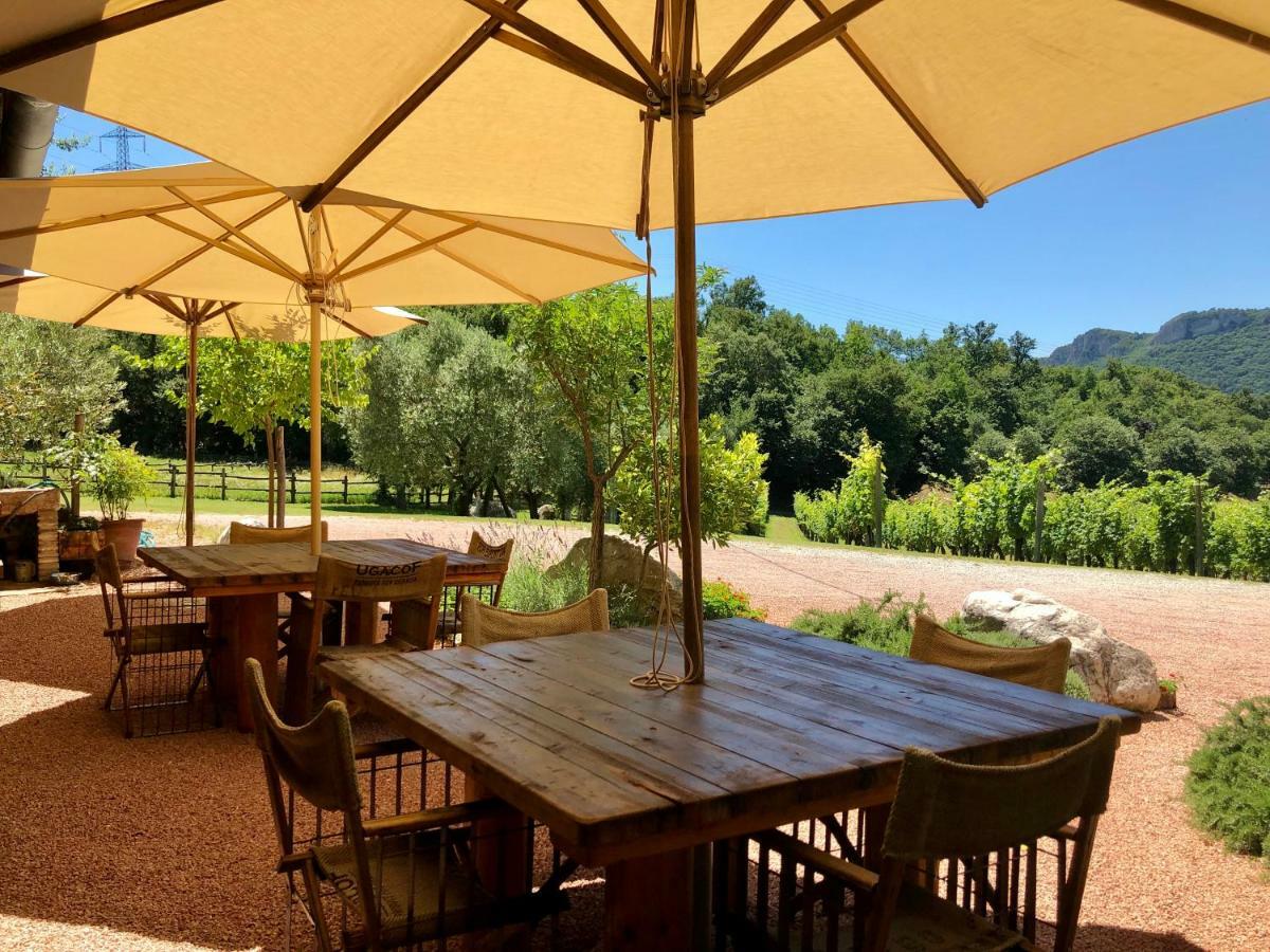 Serene Holiday And Wine Farm アッフィ エクステリア 写真