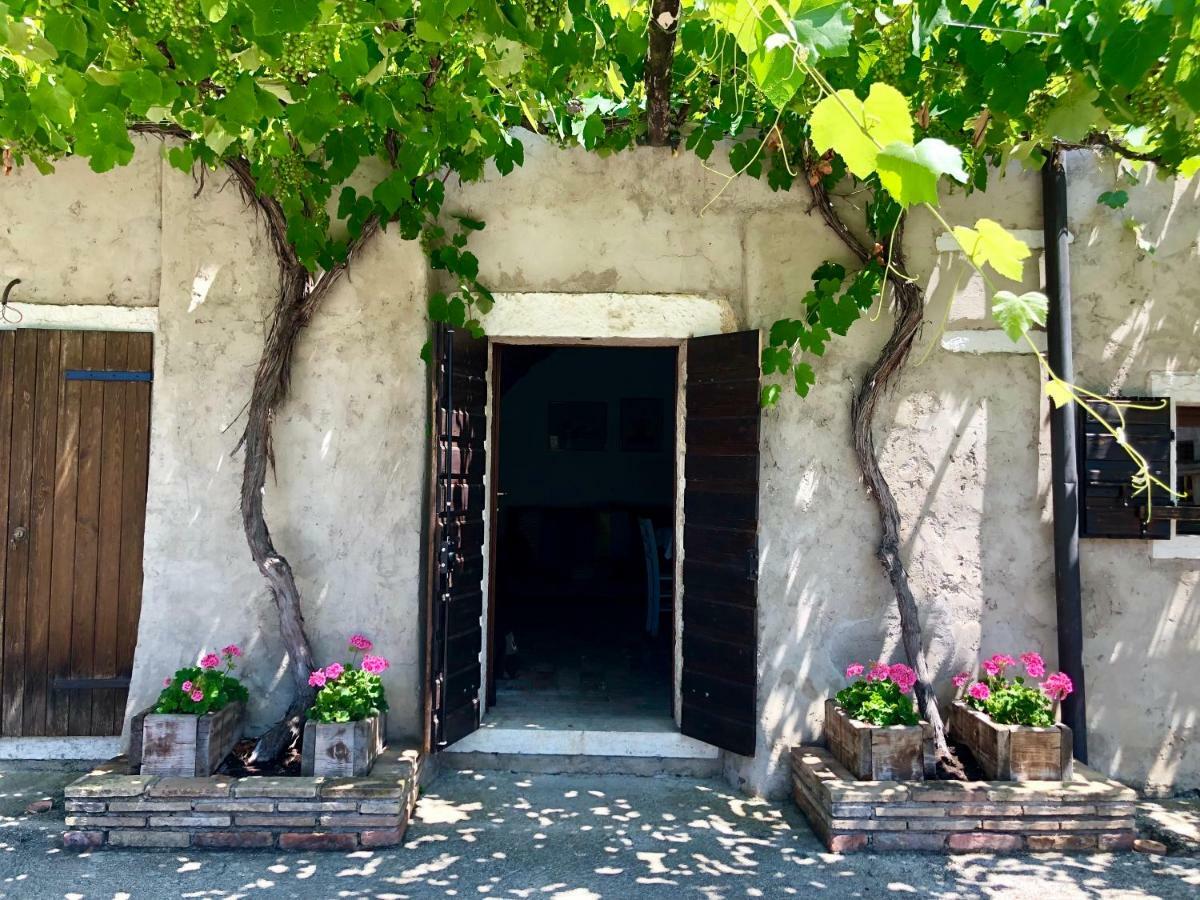 Serene Holiday And Wine Farm アッフィ エクステリア 写真